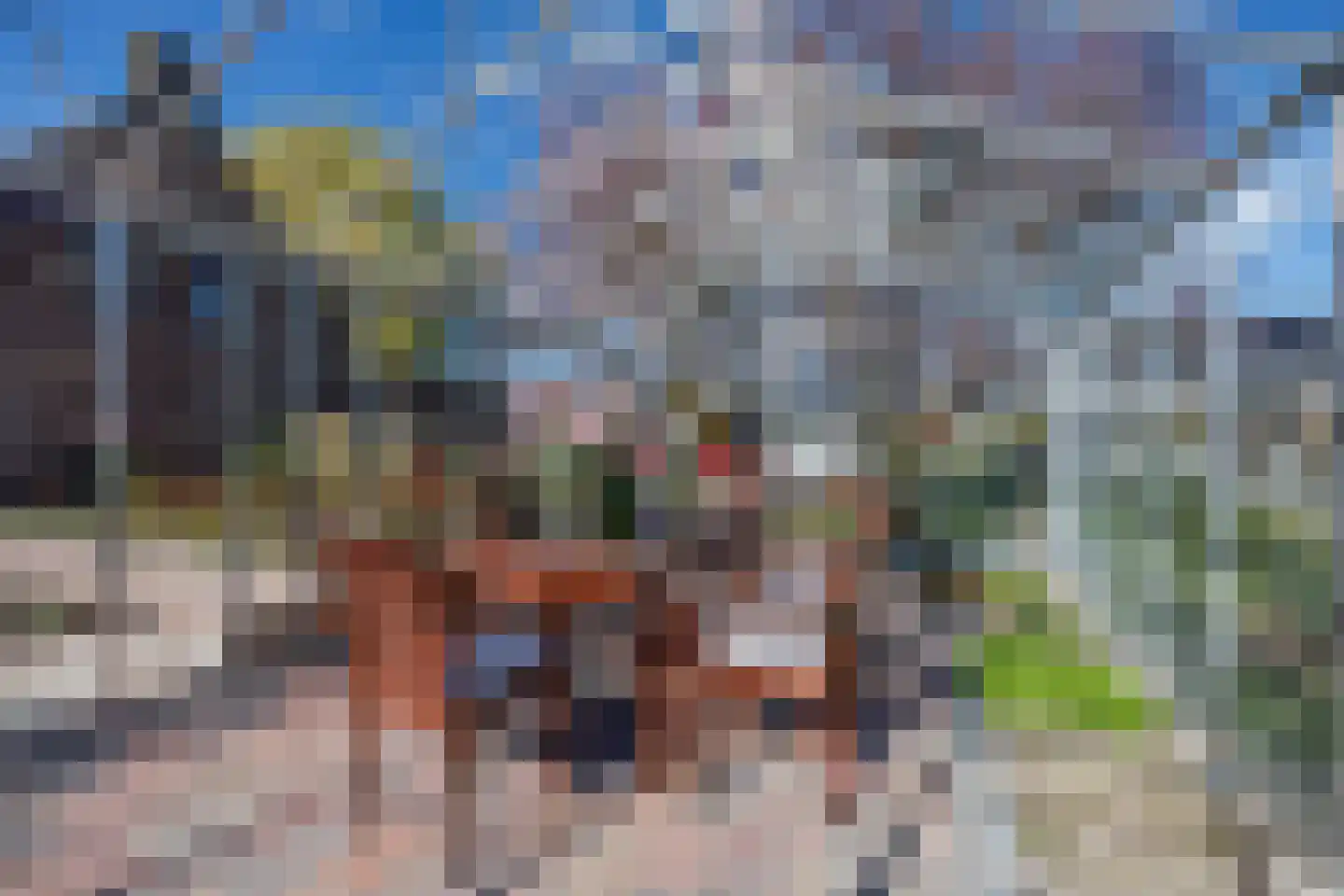Knoopkruid 54 Rijswijk thumbnail 10