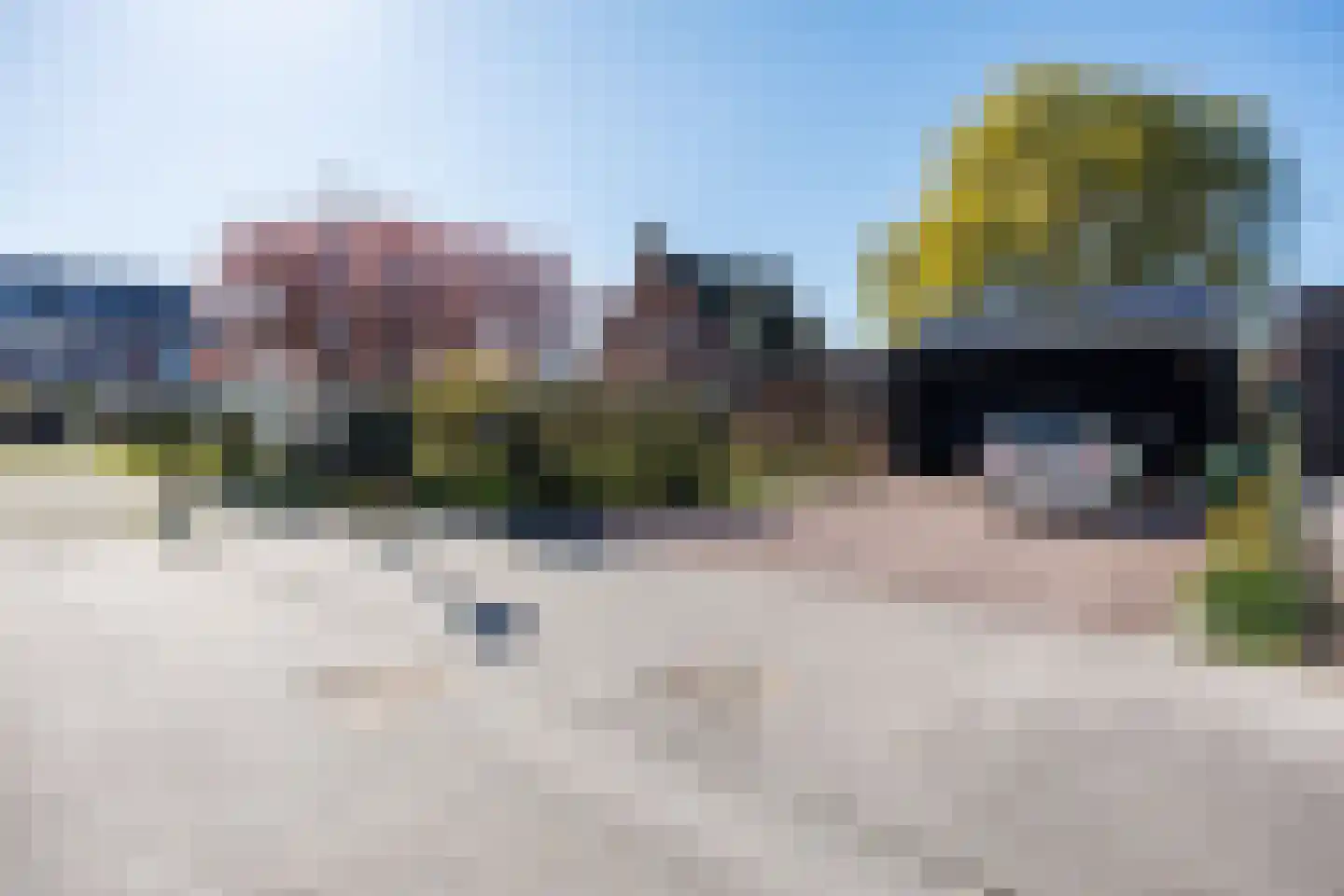 Knoopkruid 54 Rijswijk thumbnail 13