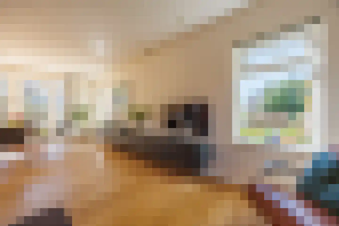 Knoopkruid 54 Rijswijk thumbnail 18