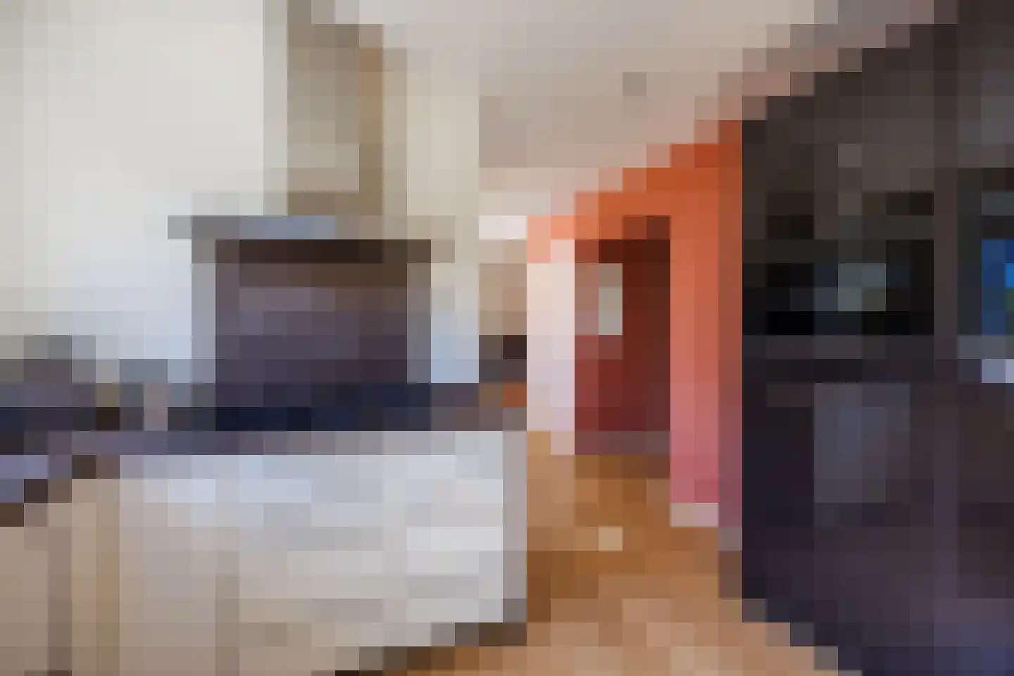 Knoopkruid 54 Rijswijk thumbnail 28