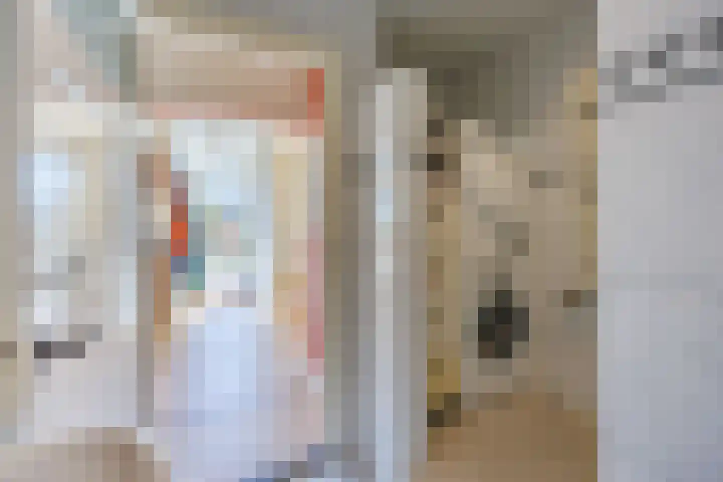 Knoopkruid 54 Rijswijk thumbnail 31