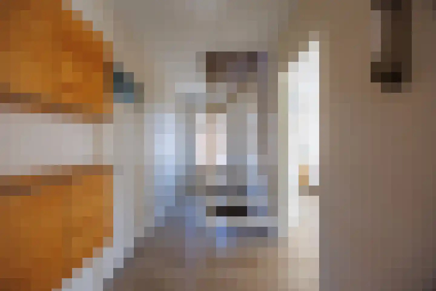 Knoopkruid 54 Rijswijk thumbnail 34
