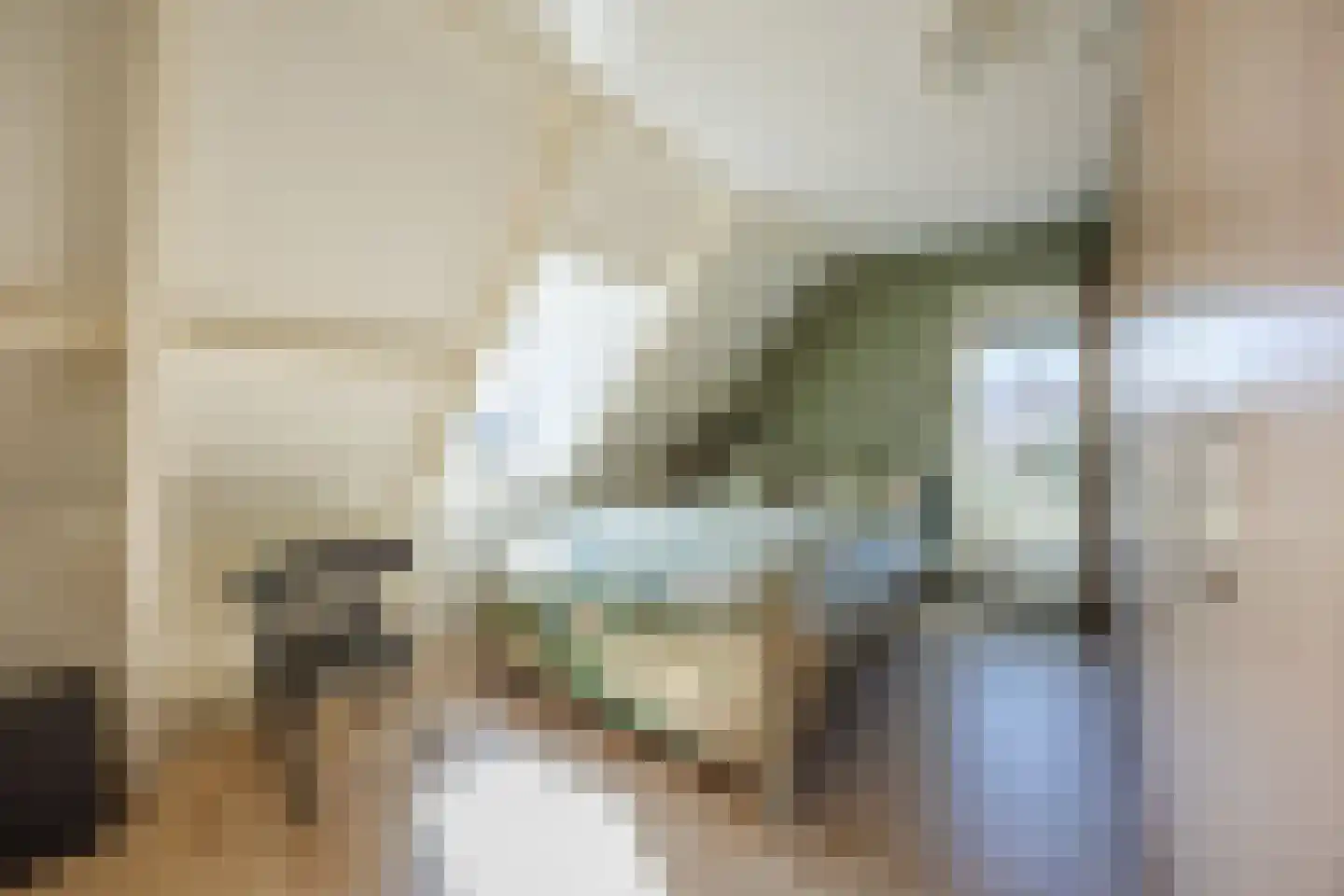 Knoopkruid 54 Rijswijk thumbnail 35
