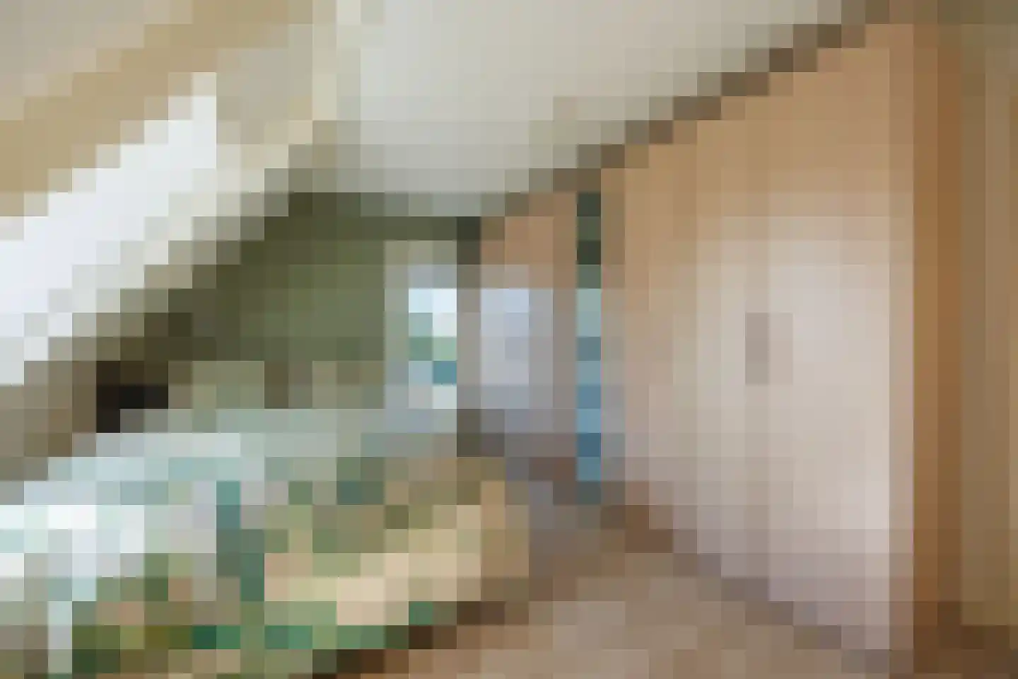 Knoopkruid 54 Rijswijk thumbnail 36