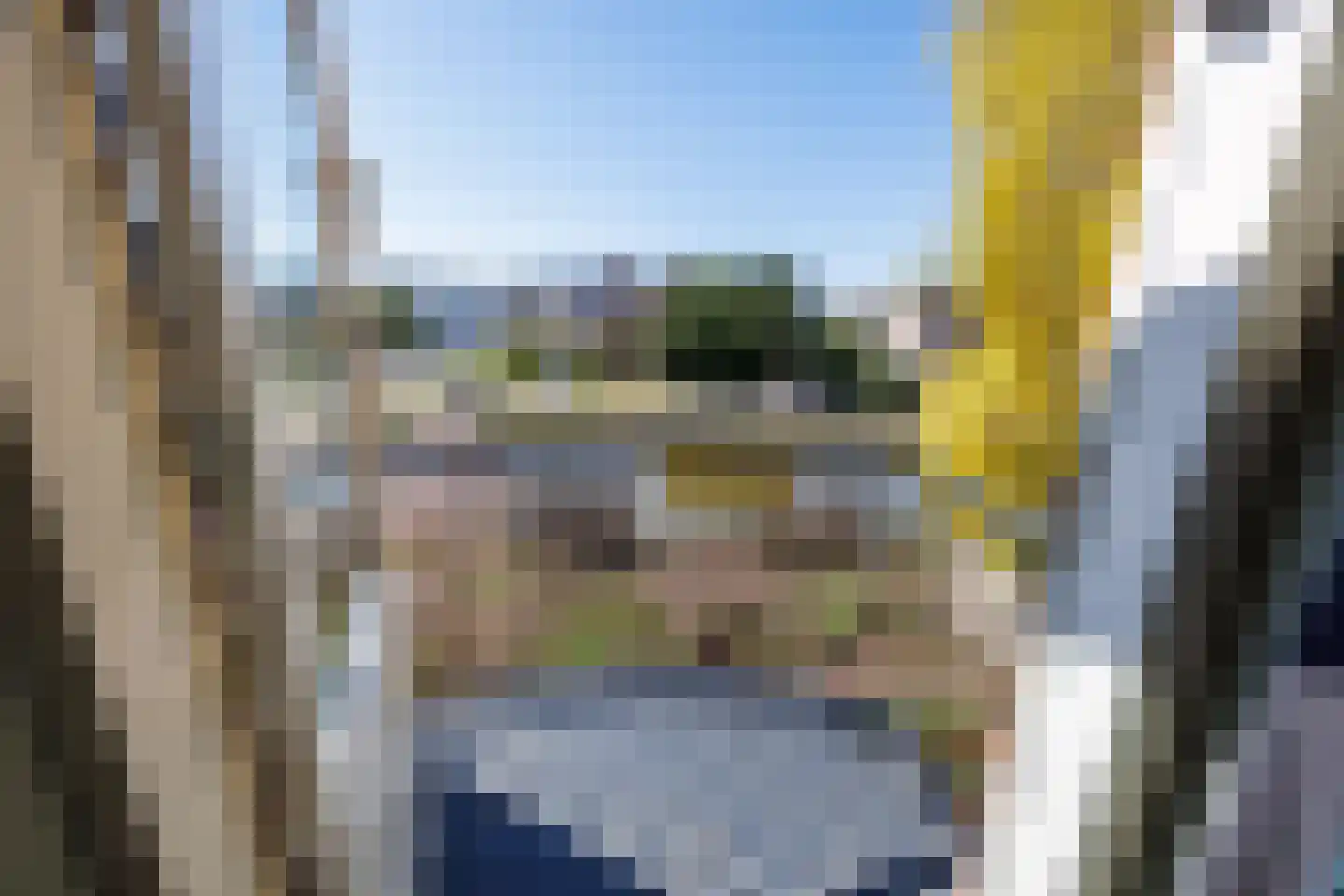 Knoopkruid 54 Rijswijk thumbnail 37