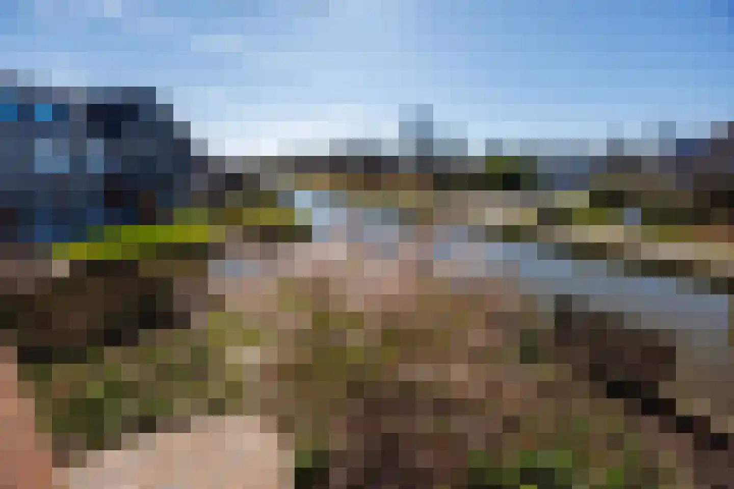 Knoopkruid 54 Rijswijk thumbnail 39