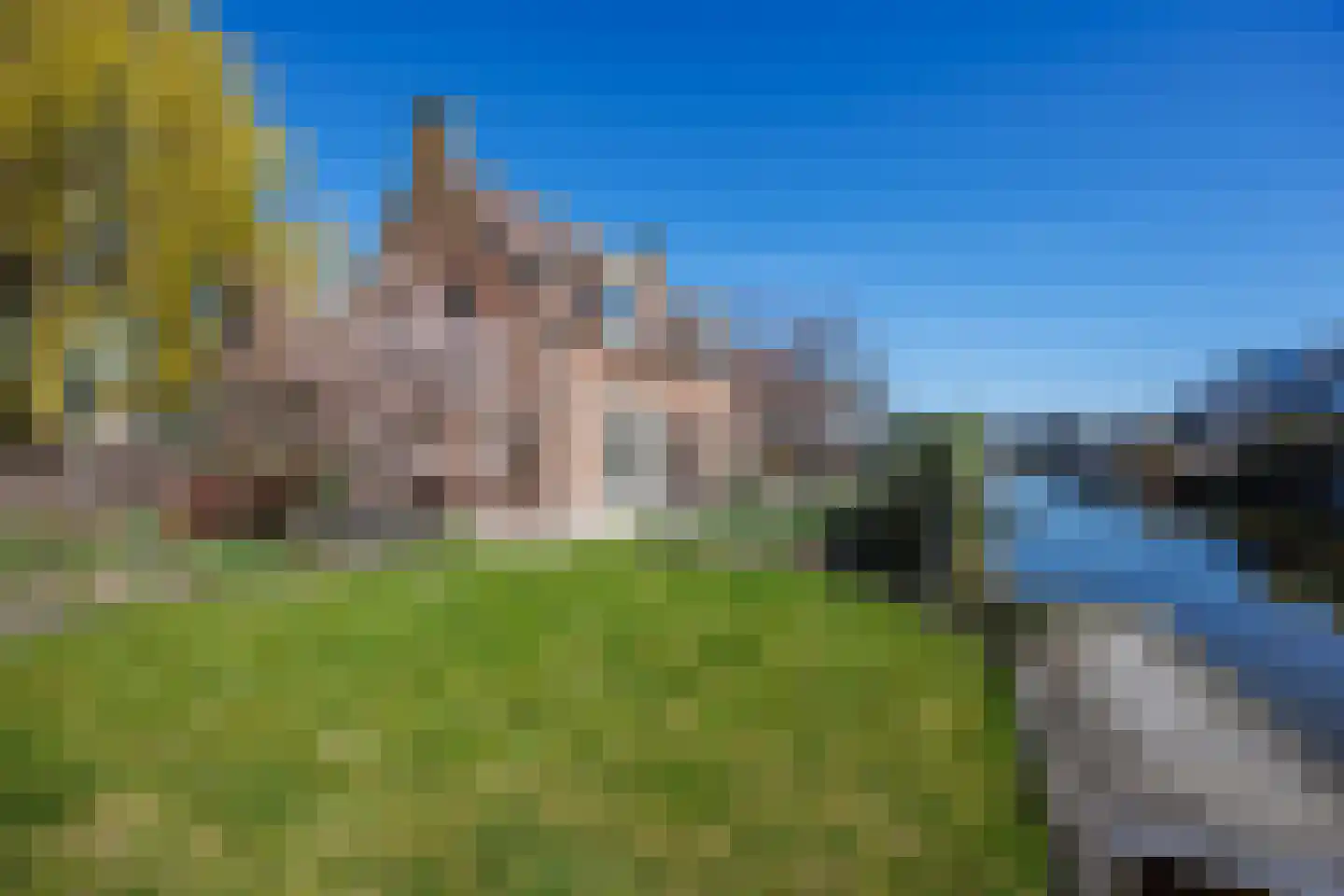 Knoopkruid 54 Rijswijk thumbnail 4