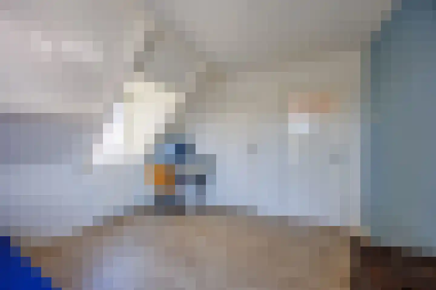 Knoopkruid 54 Rijswijk thumbnail 41