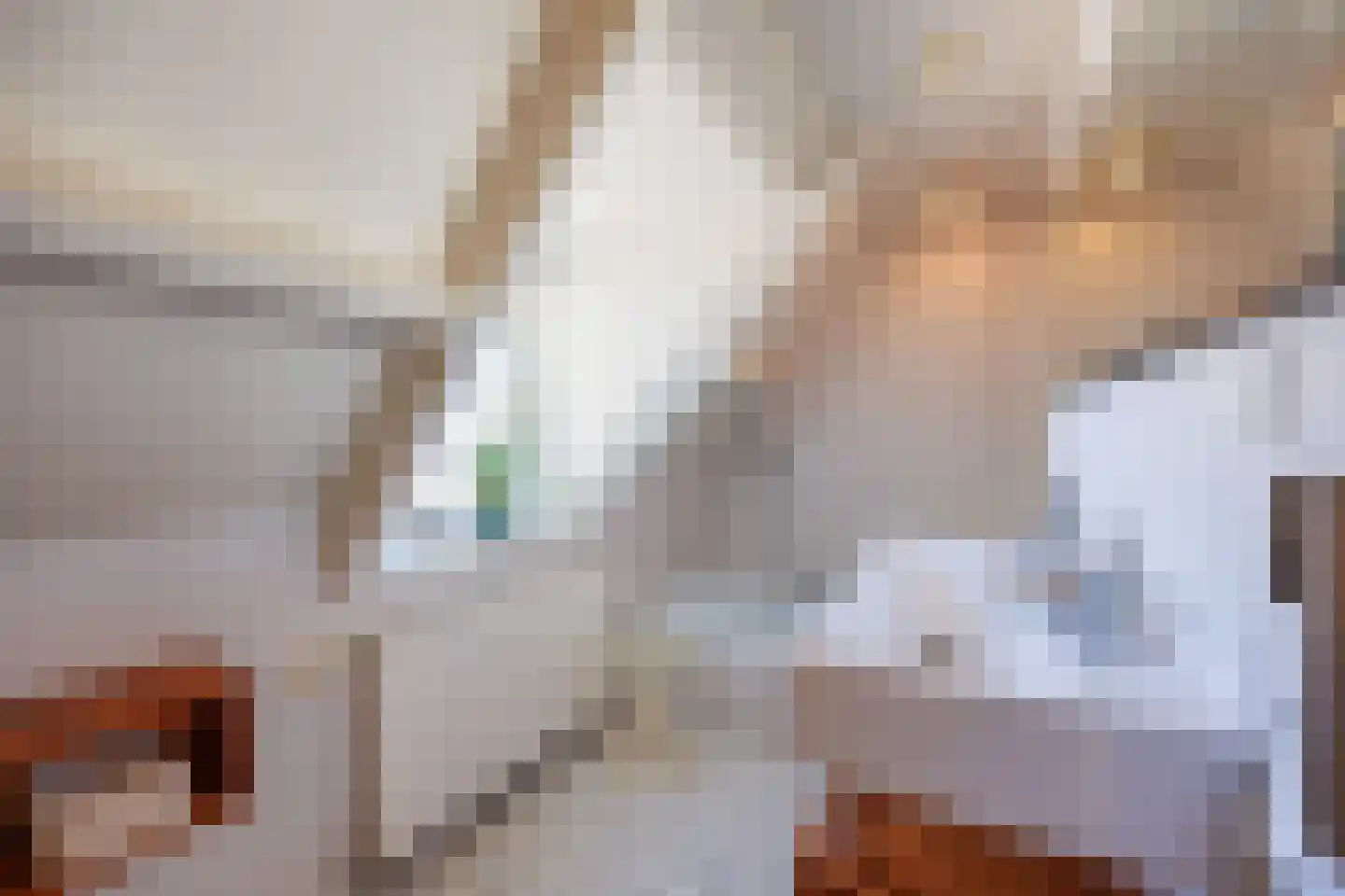 Knoopkruid 54 Rijswijk thumbnail 42