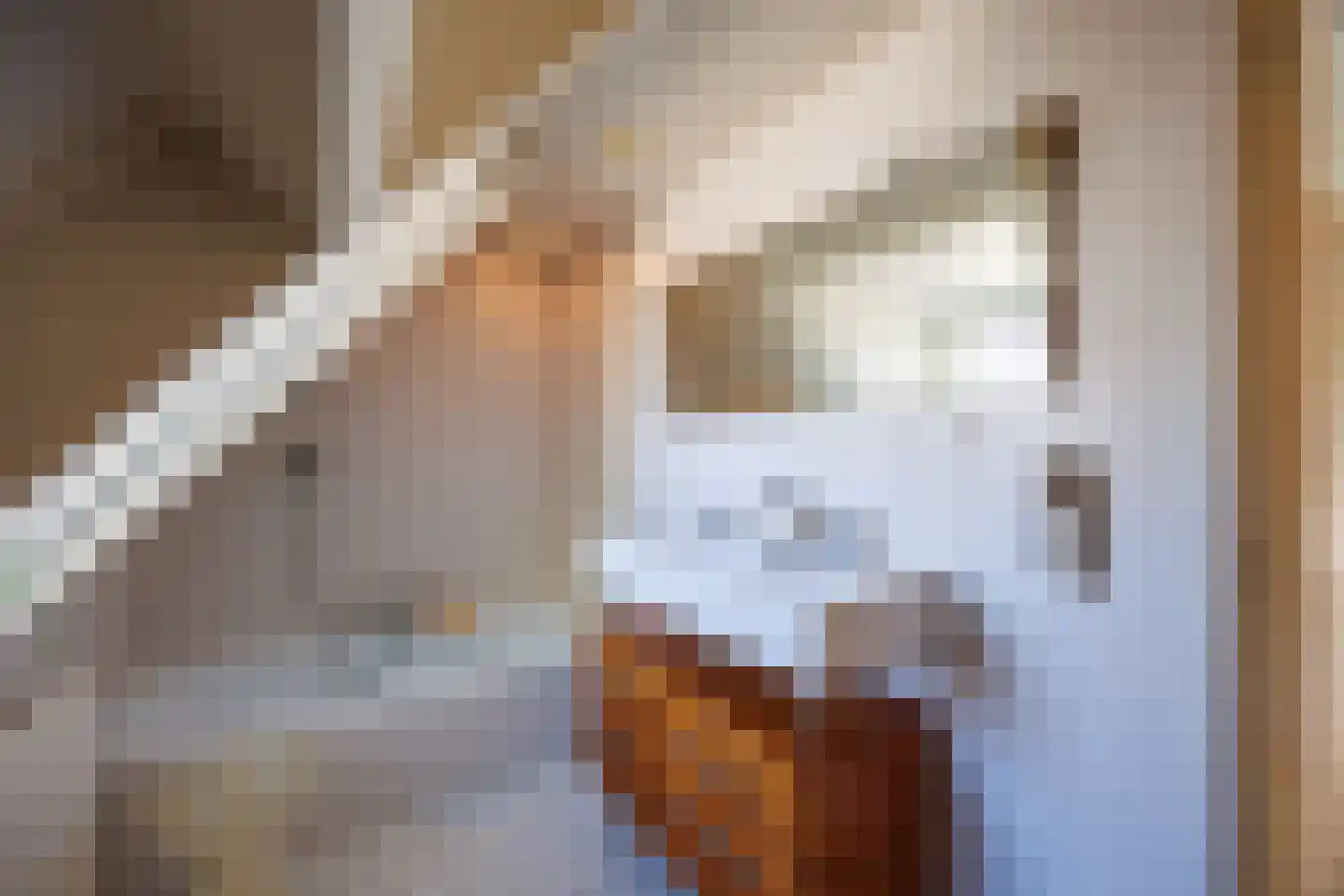Knoopkruid 54 Rijswijk thumbnail 43