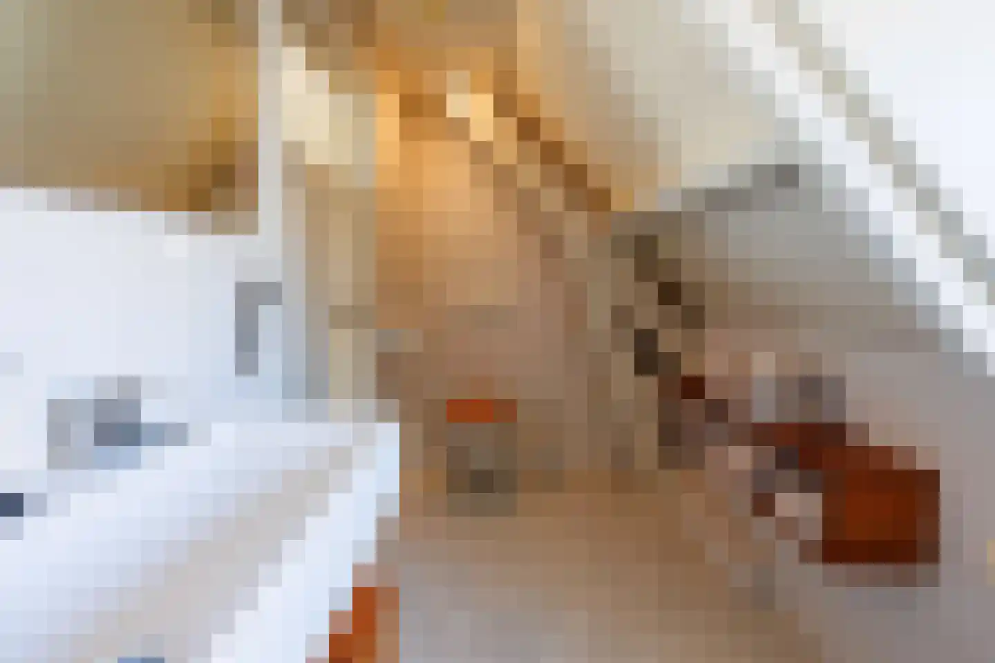 Knoopkruid 54 Rijswijk thumbnail 44