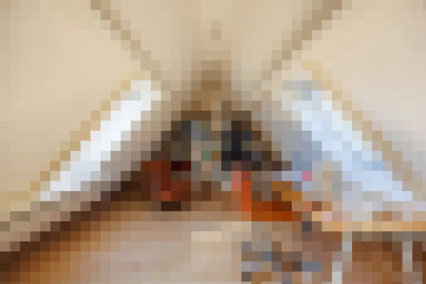 Knoopkruid 54 Rijswijk thumbnail 47