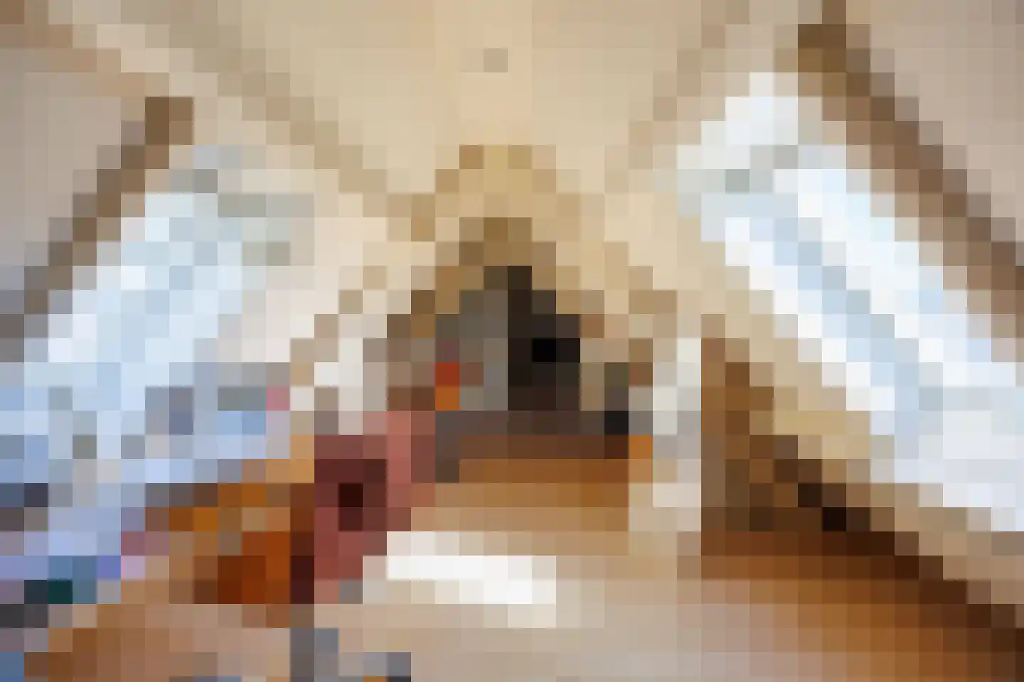 Knoopkruid 54 Rijswijk thumbnail 48