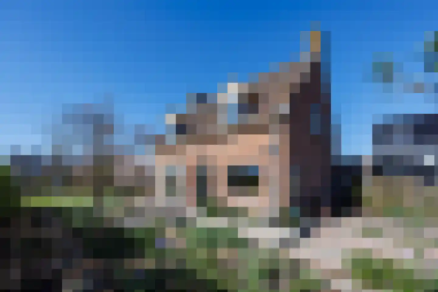 Knoopkruid 54 Rijswijk thumbnail 5