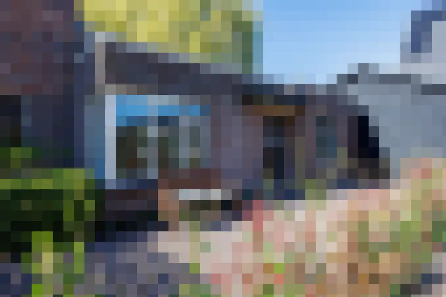 Knoopkruid 54 Rijswijk thumbnail 50