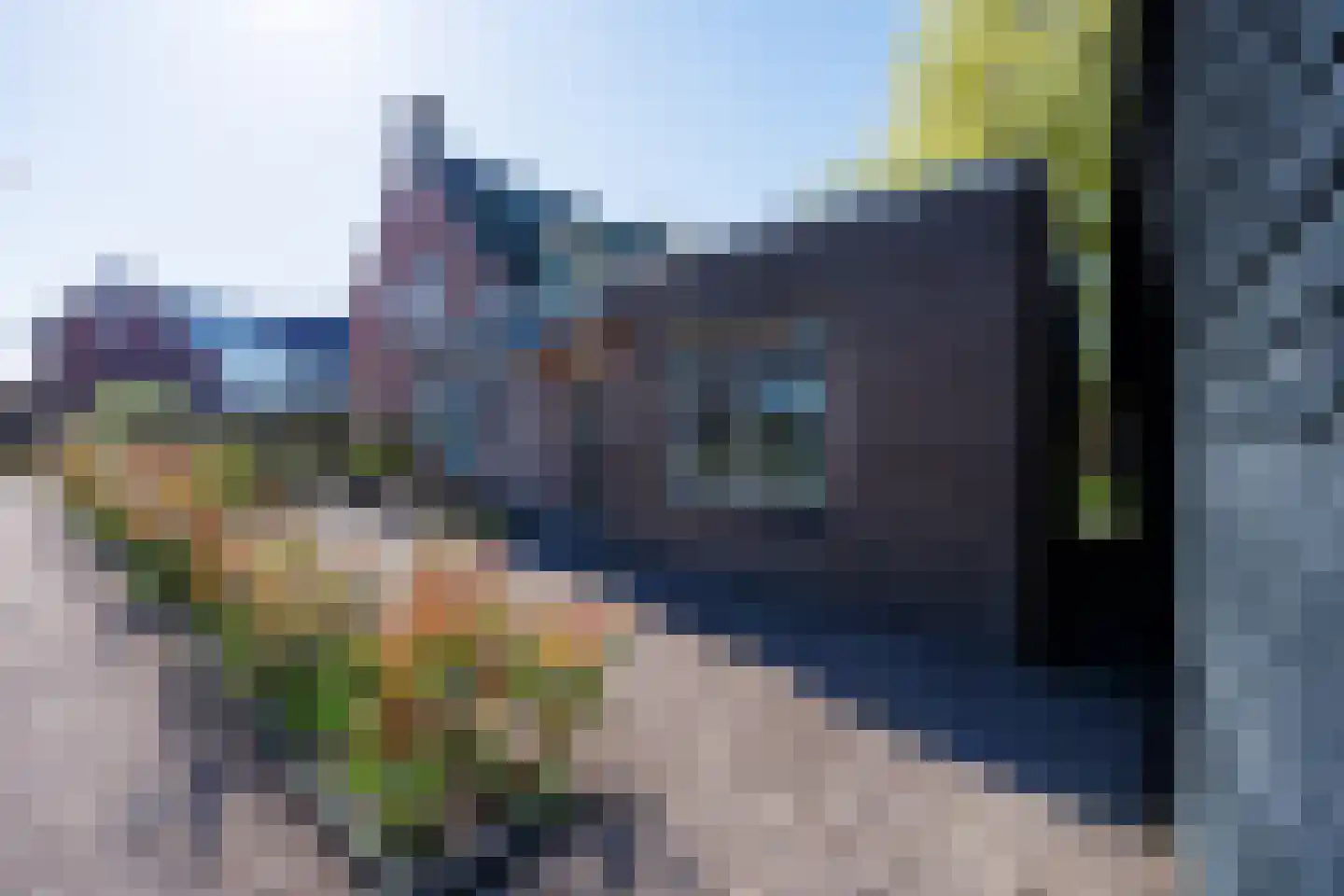 Knoopkruid 54 Rijswijk thumbnail 51