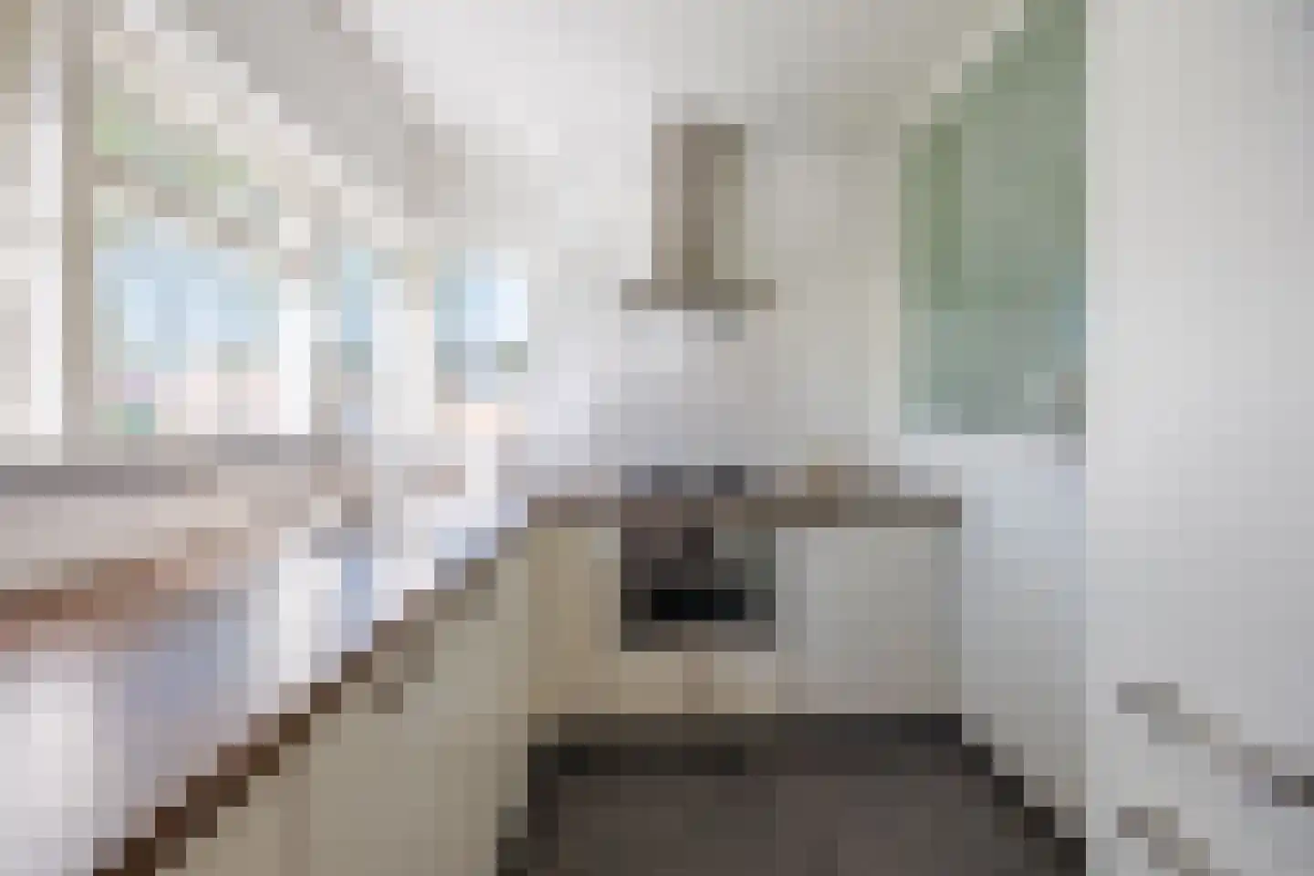 Knoopkruid 54 Rijswijk thumbnail 56
