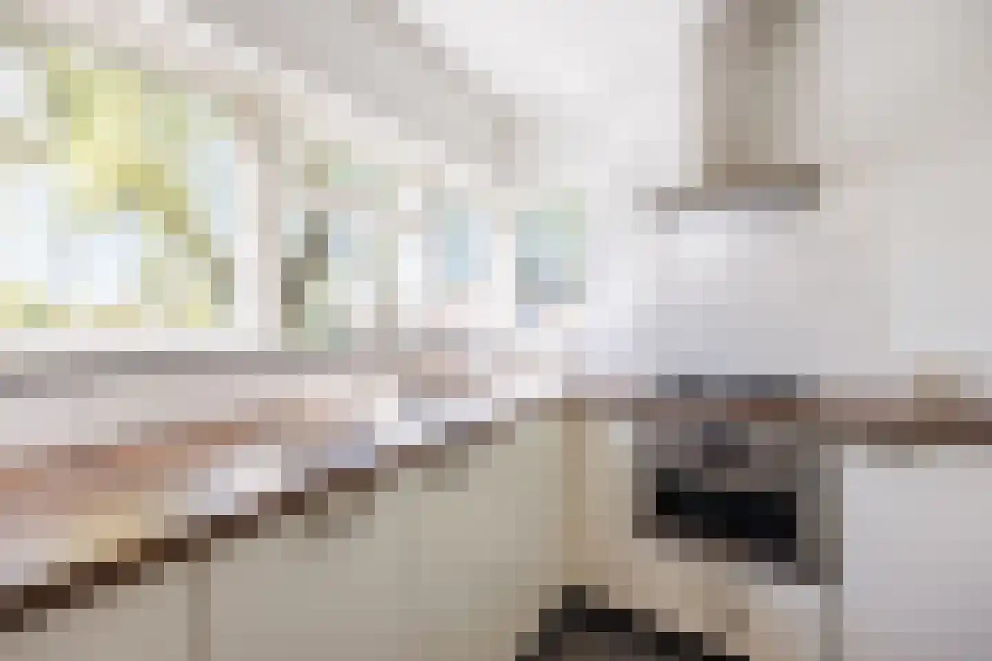 Knoopkruid 54 Rijswijk thumbnail 57