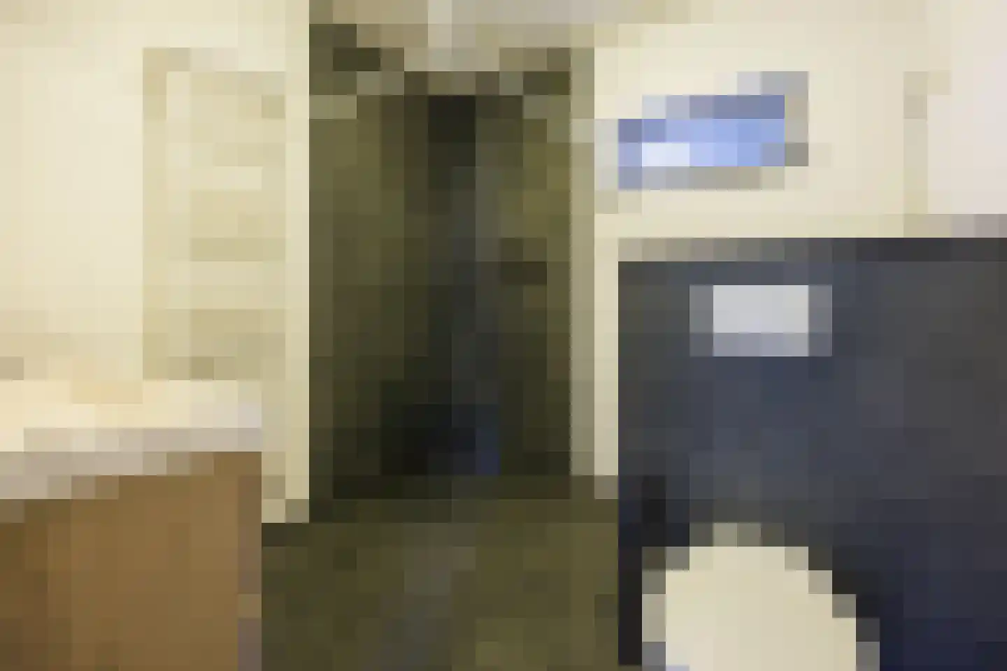 Knoopkruid 54 Rijswijk thumbnail 61