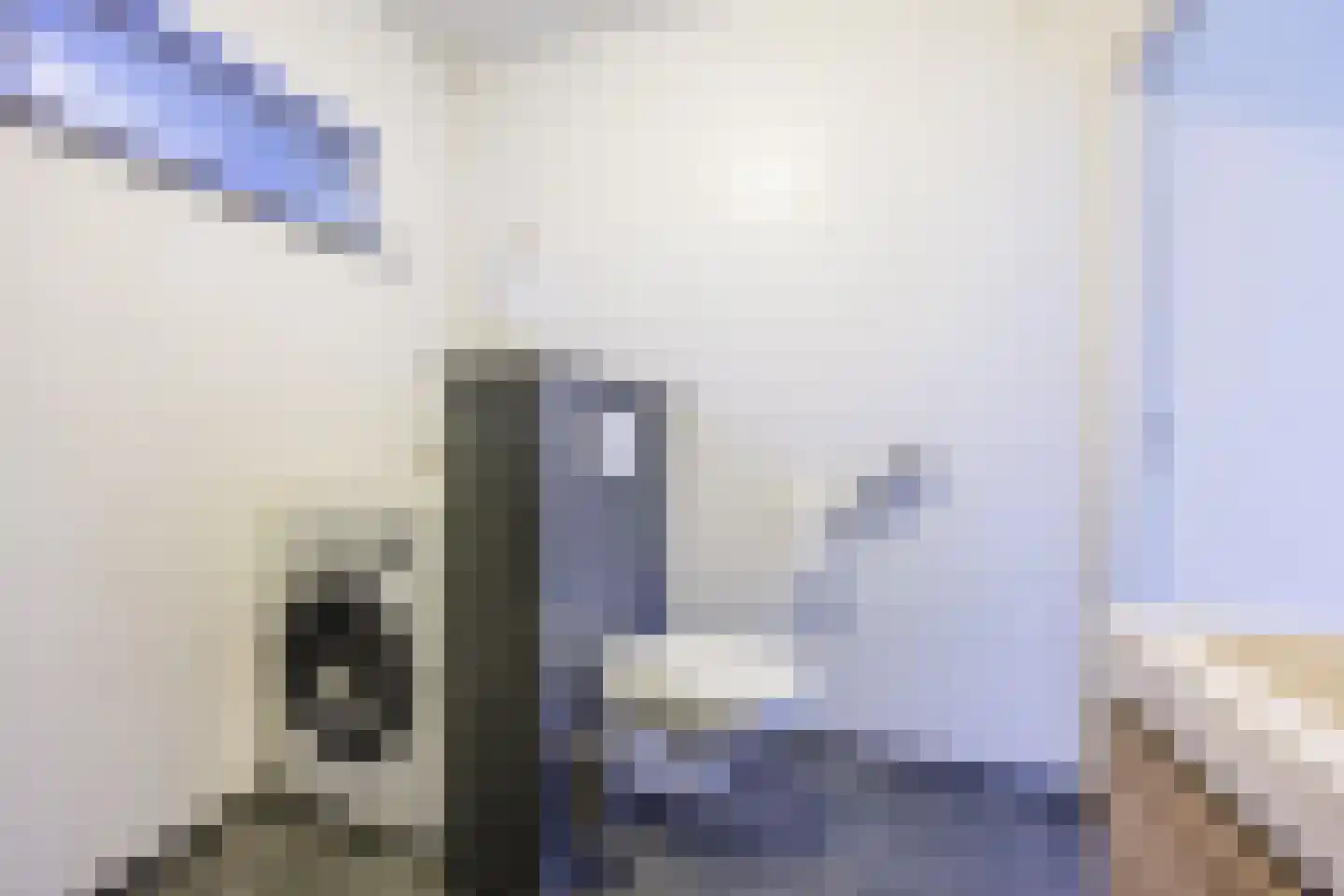 Knoopkruid 54 Rijswijk thumbnail 62