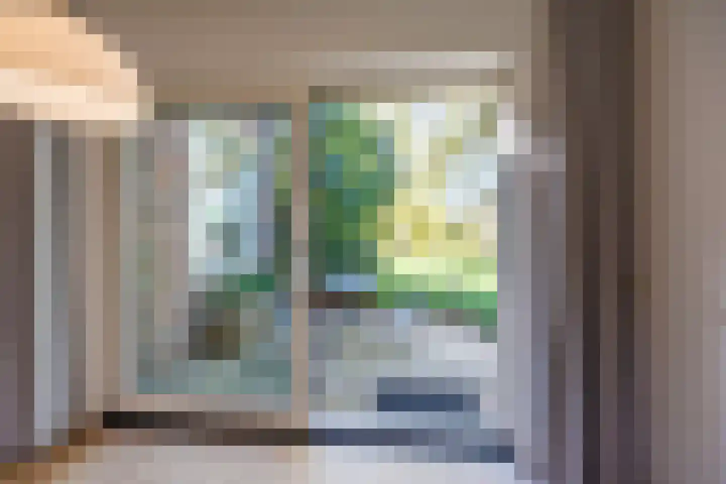 Knoopkruid 54 Rijswijk thumbnail 64