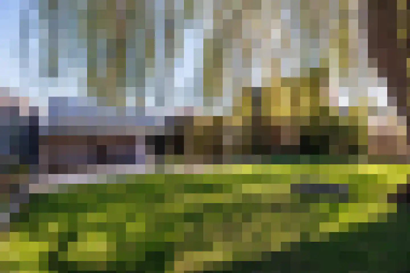 Knoopkruid 54 Rijswijk thumbnail 68
