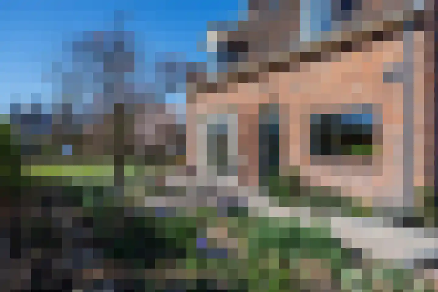 Knoopkruid 54 Rijswijk thumbnail 7