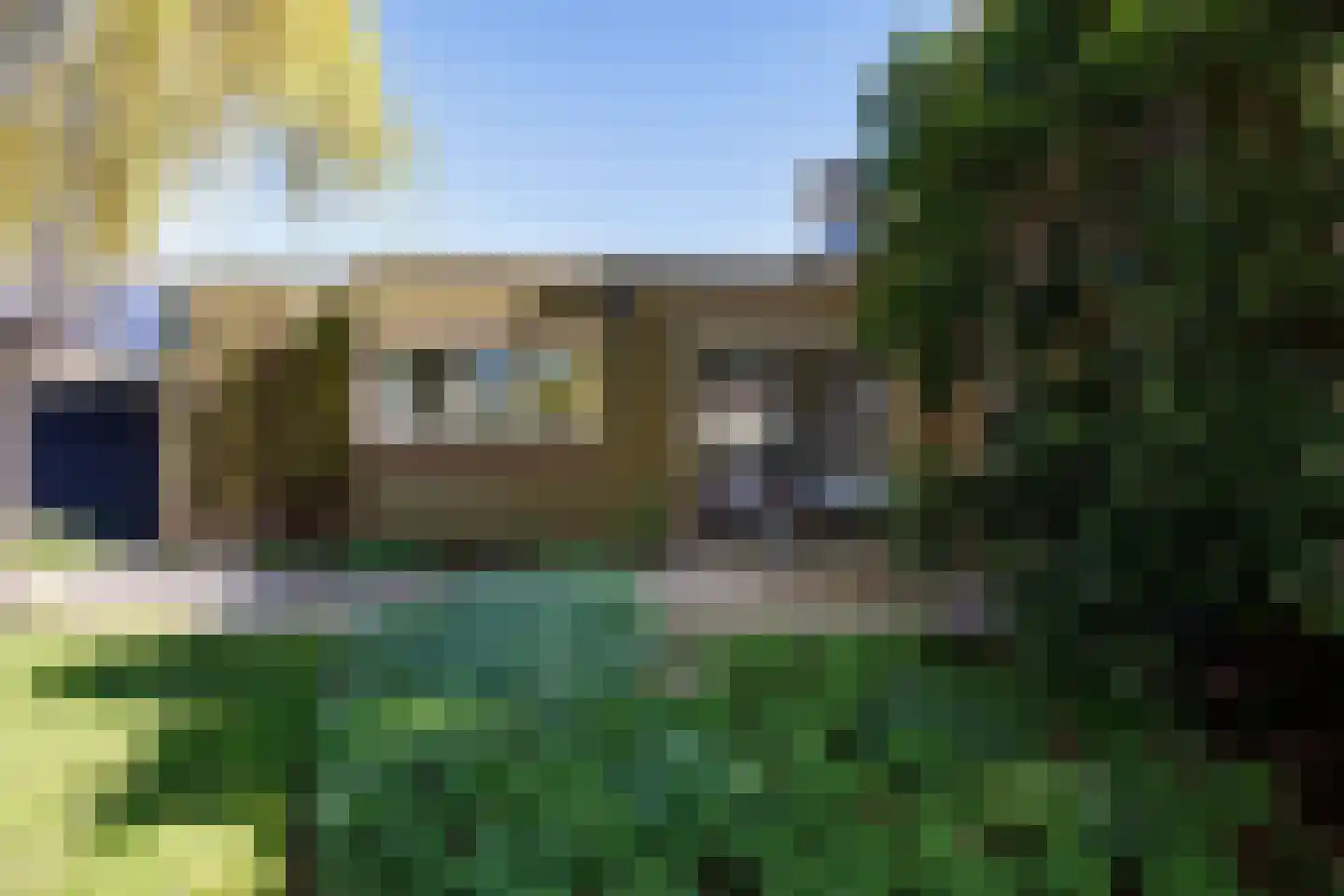 Knoopkruid 54 Rijswijk thumbnail 70