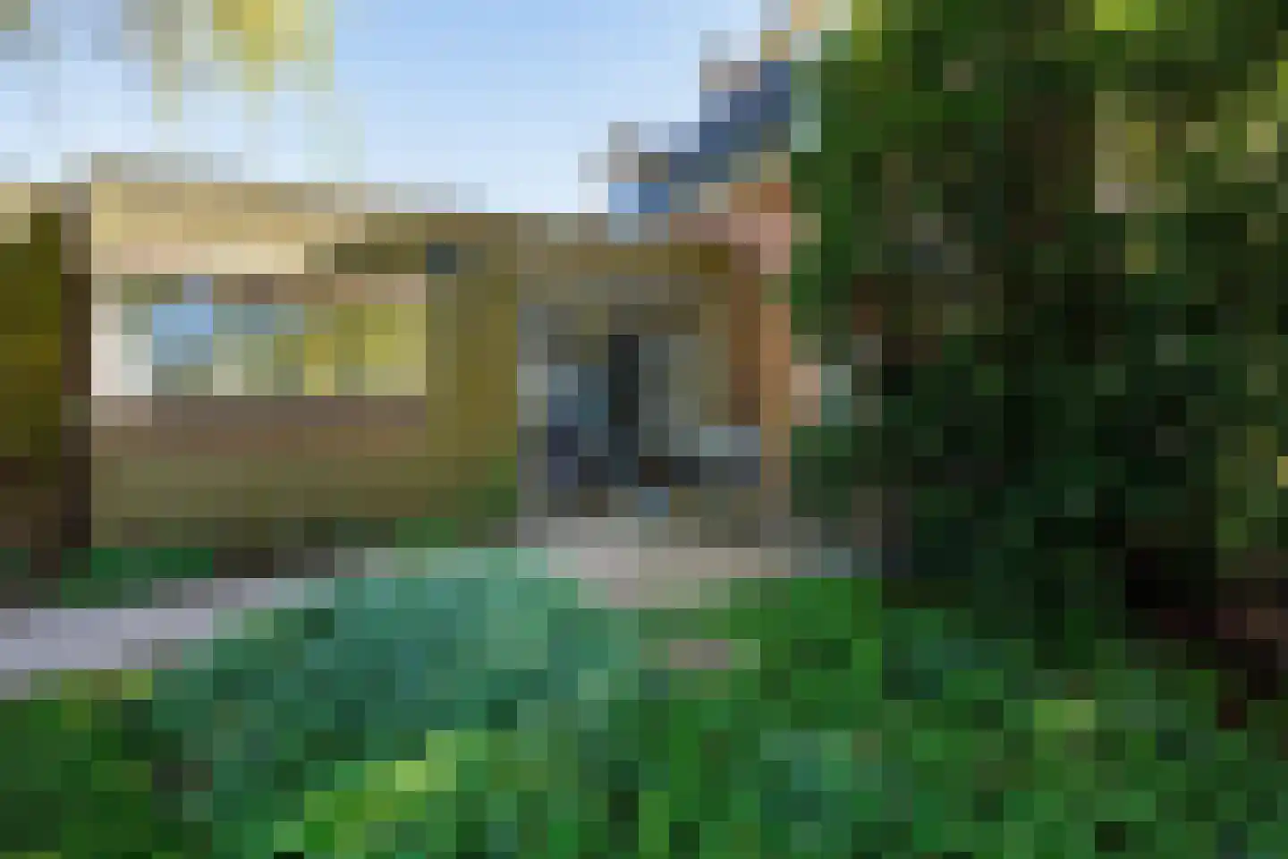 Knoopkruid 54 Rijswijk thumbnail 71