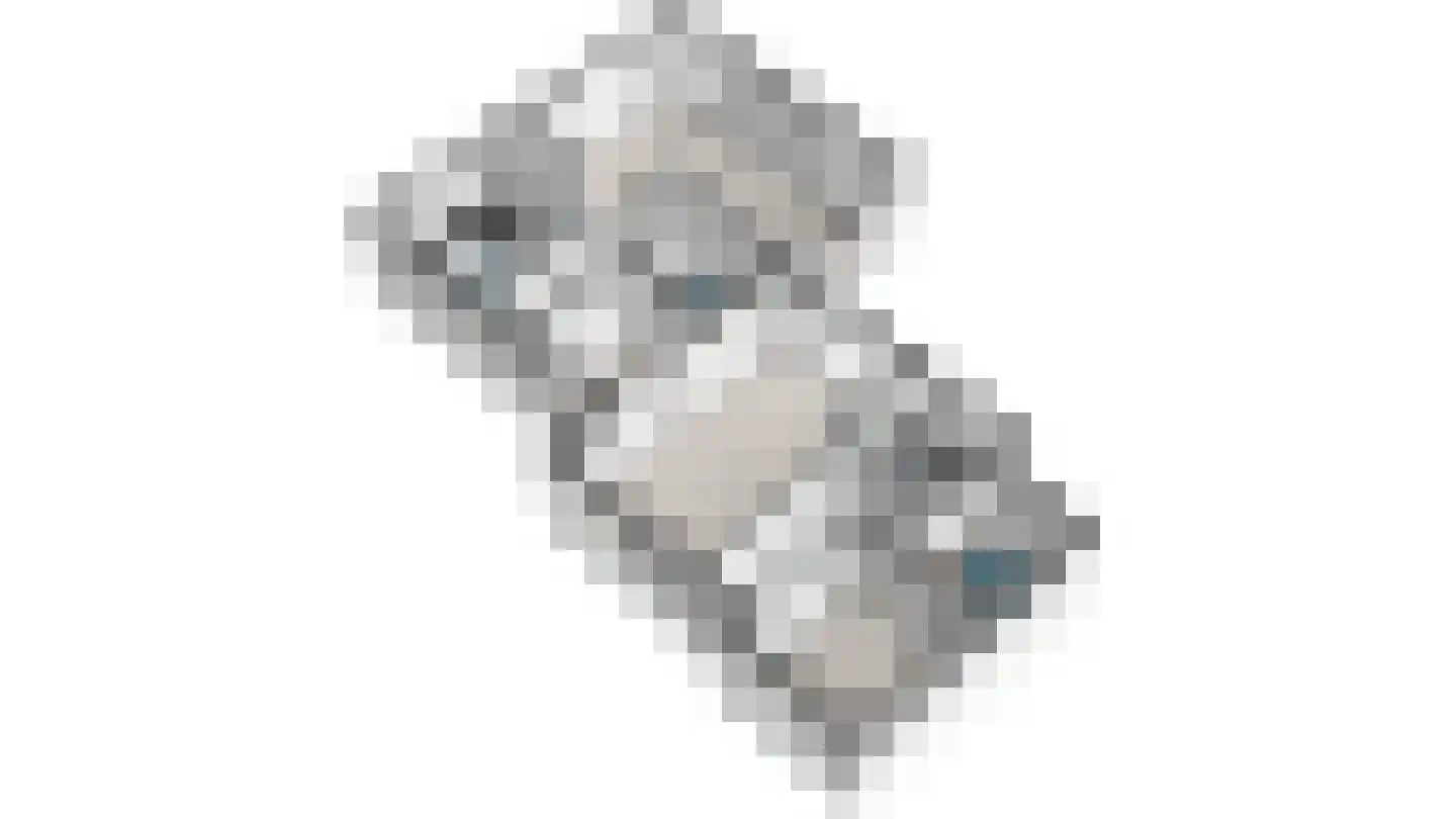 Knoopkruid 54 Rijswijk thumbnail 76