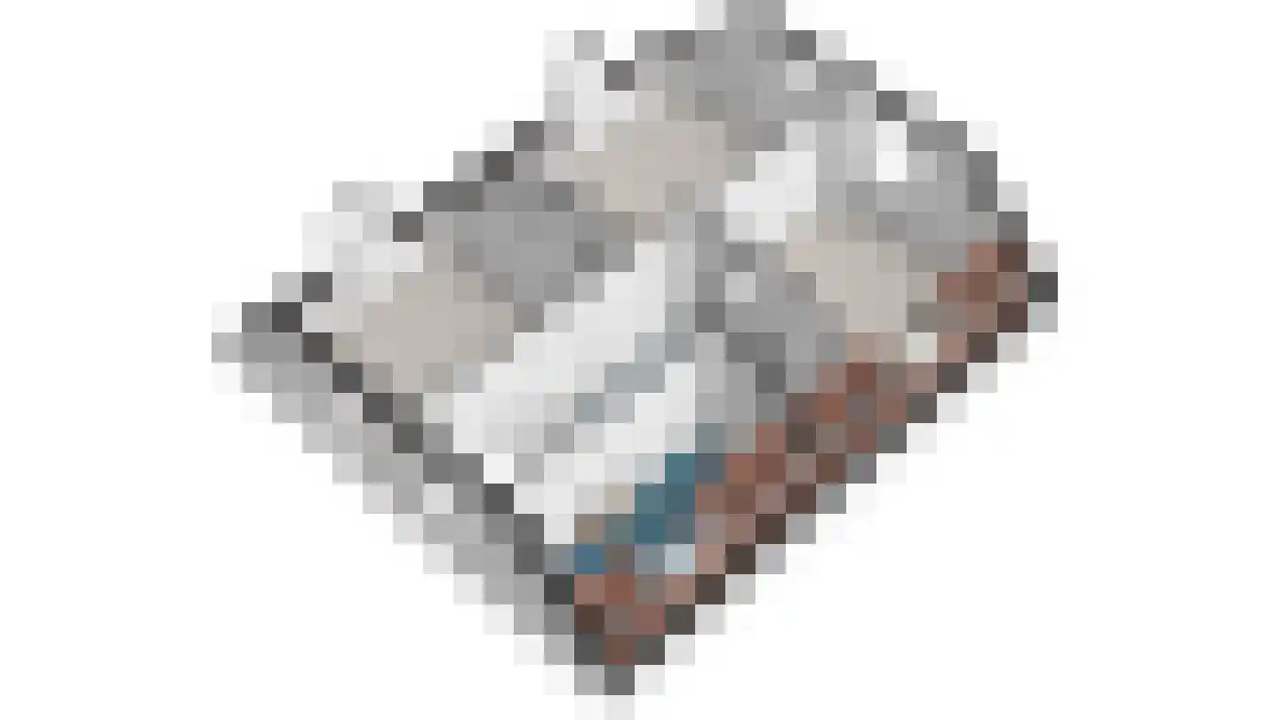 Knoopkruid 54 Rijswijk thumbnail 78