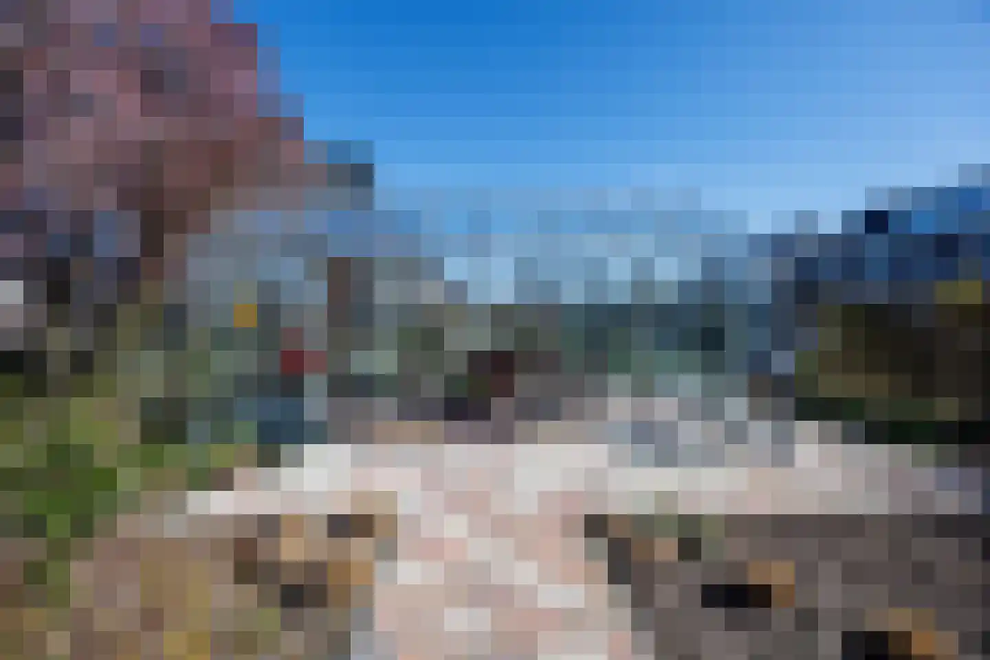 Knoopkruid 54 Rijswijk thumbnail 8