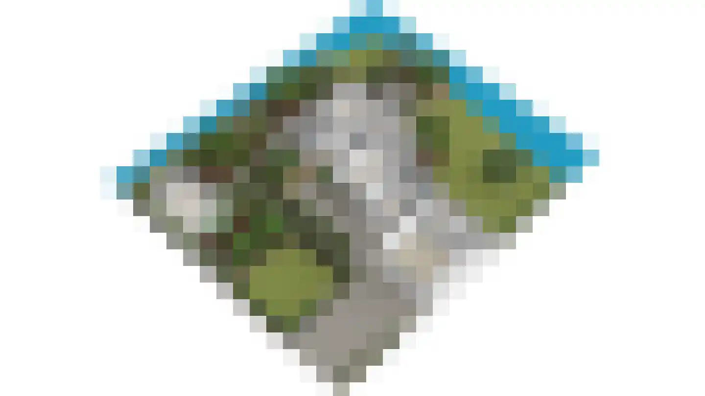 Knoopkruid 54 Rijswijk thumbnail 88