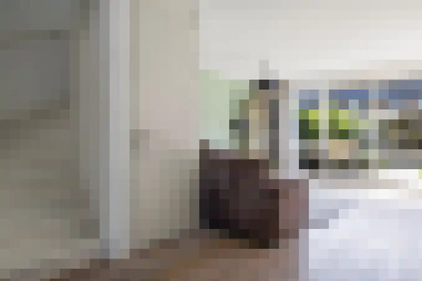 Knoopkruid 6 Voorthuizen thumbnail 11