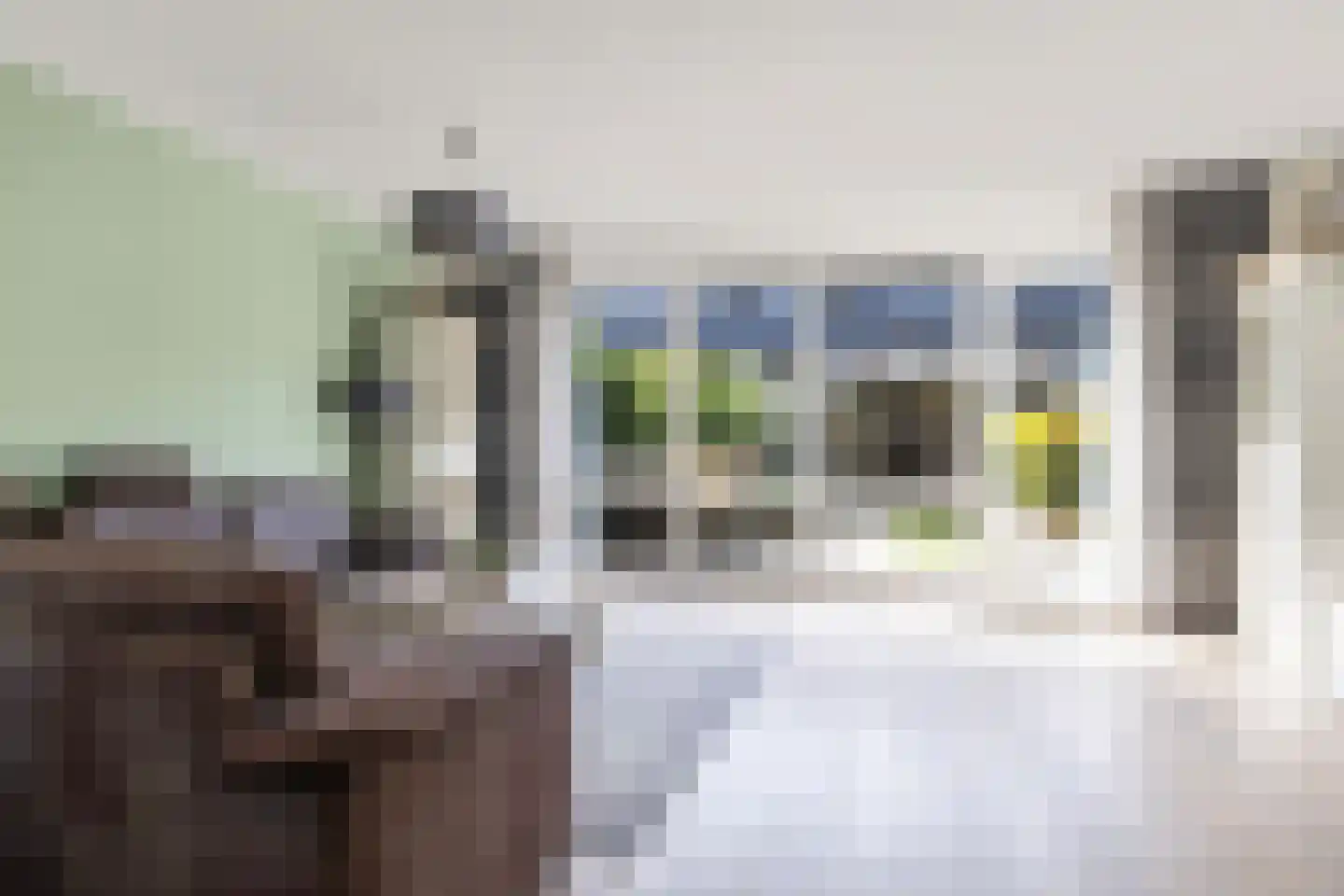 Knoopkruid 6 Voorthuizen thumbnail 12