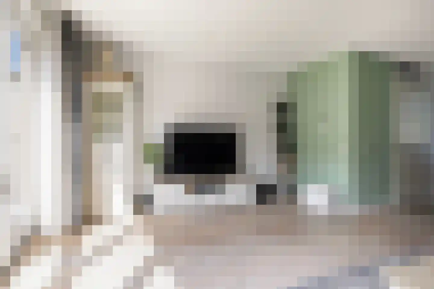 Knoopkruid 6 Voorthuizen thumbnail 13