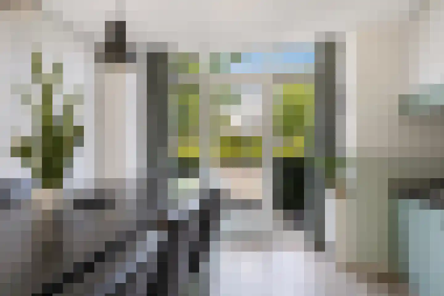 Knoopkruid 6 Voorthuizen thumbnail 16