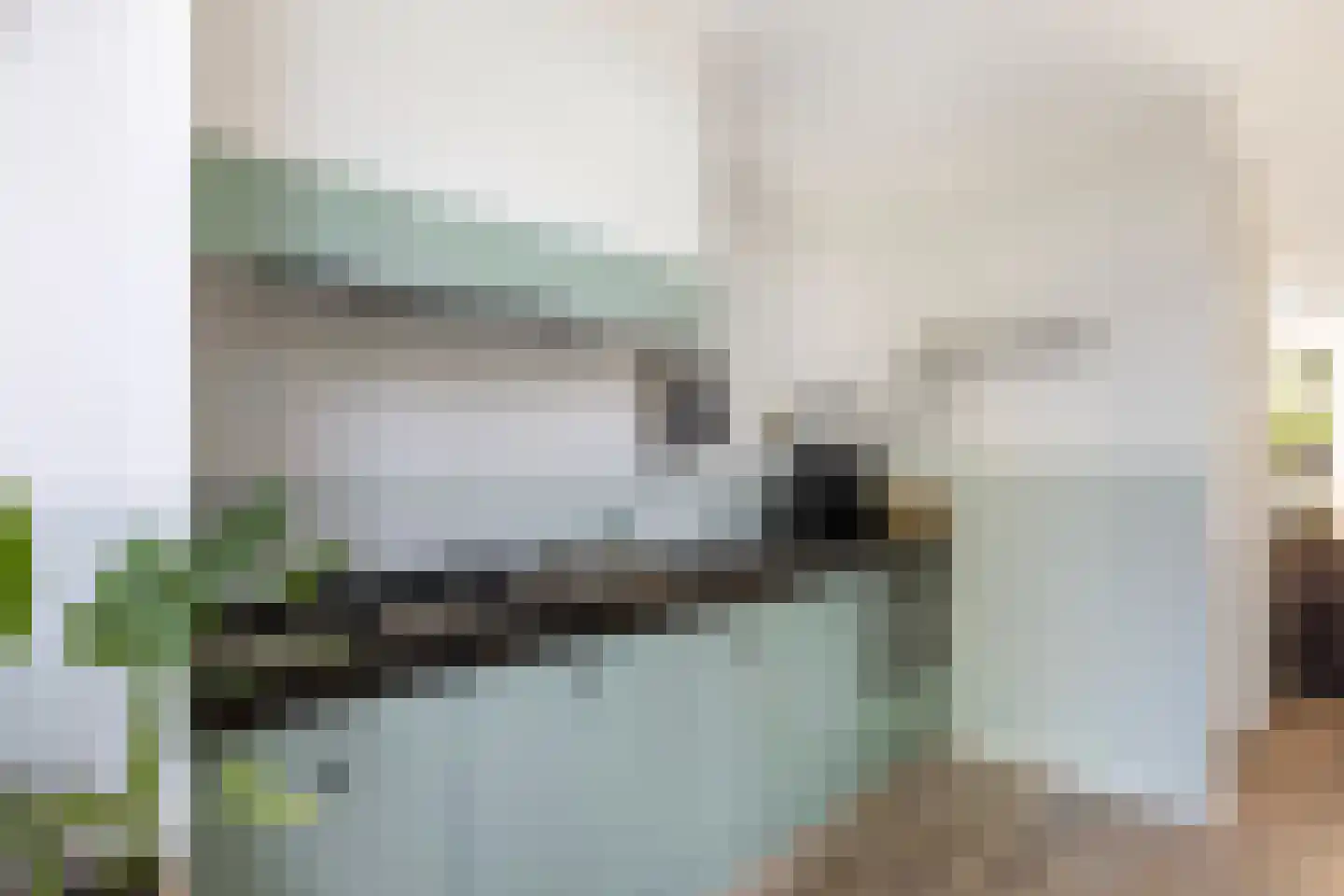Knoopkruid 6 Voorthuizen thumbnail 17