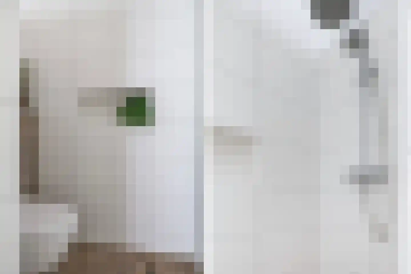 Knoopkruid 6 Voorthuizen thumbnail 25