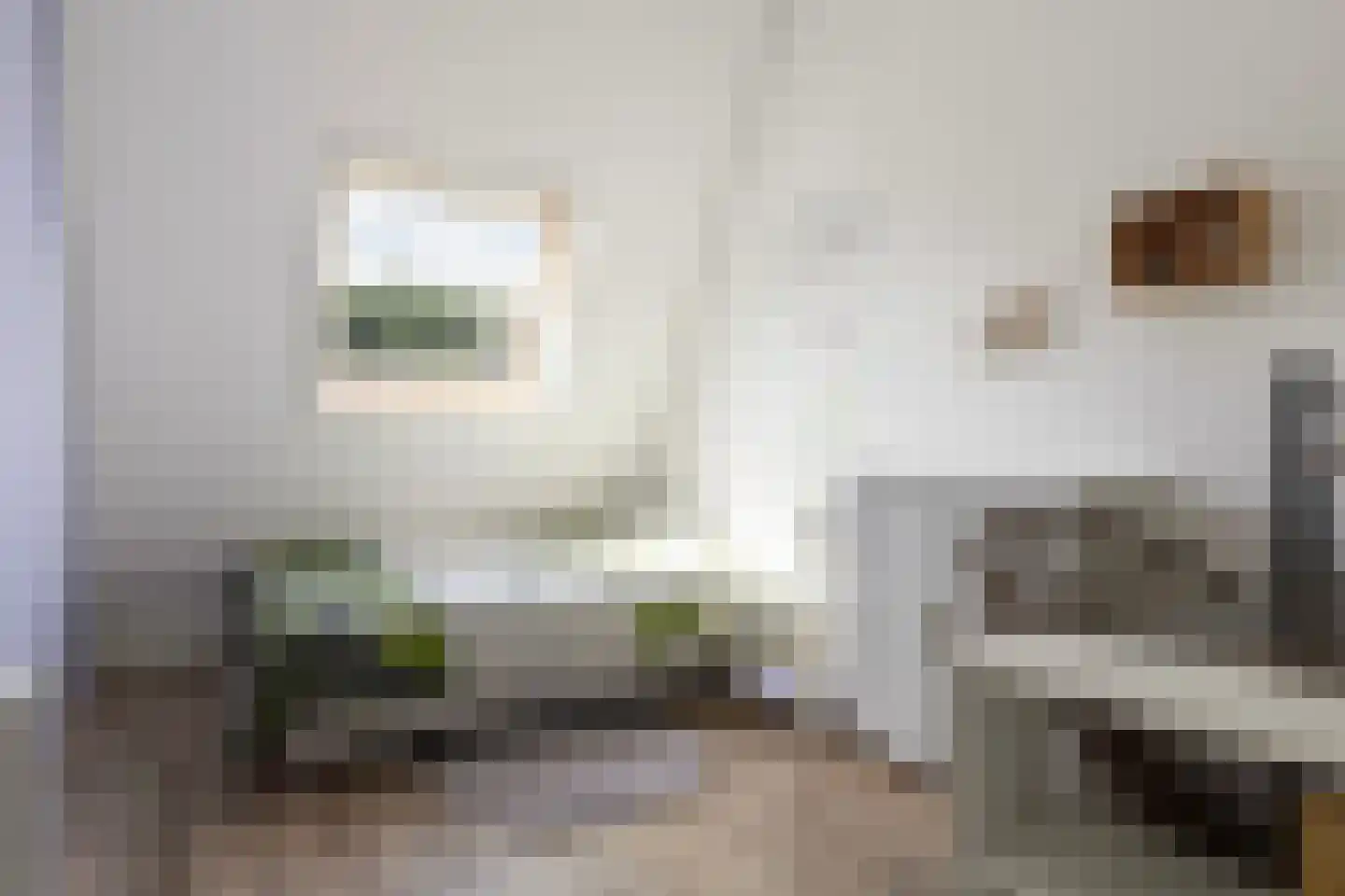 Knoopkruid 6 Voorthuizen thumbnail 29