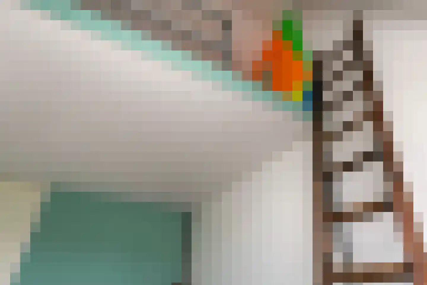 Knoopkruid 6 Voorthuizen thumbnail 31