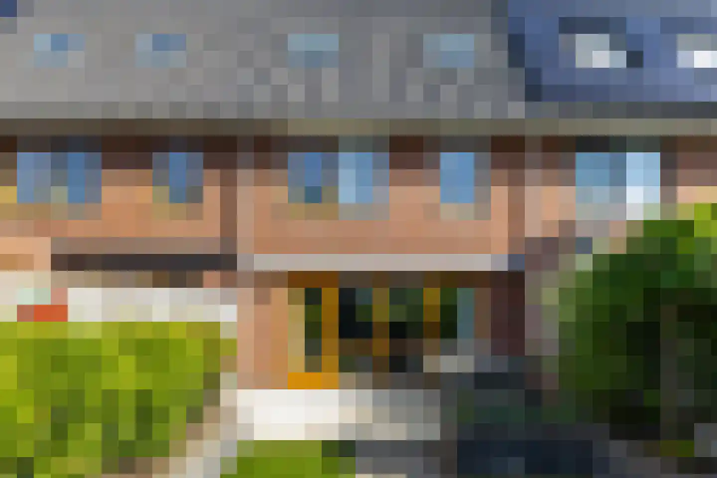 Knoopkruid 6 Voorthuizen thumbnail 33