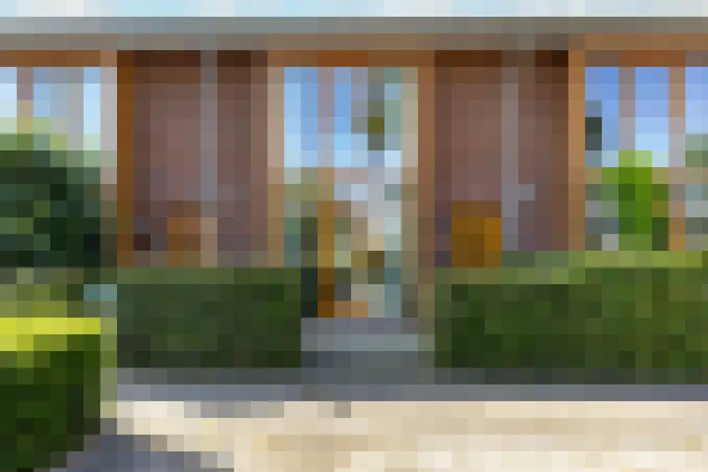 Knoopkruid 6 Voorthuizen thumbnail 5