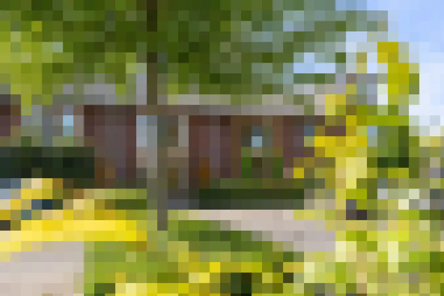Knoopkruid 6 Voorthuizen thumbnail 7