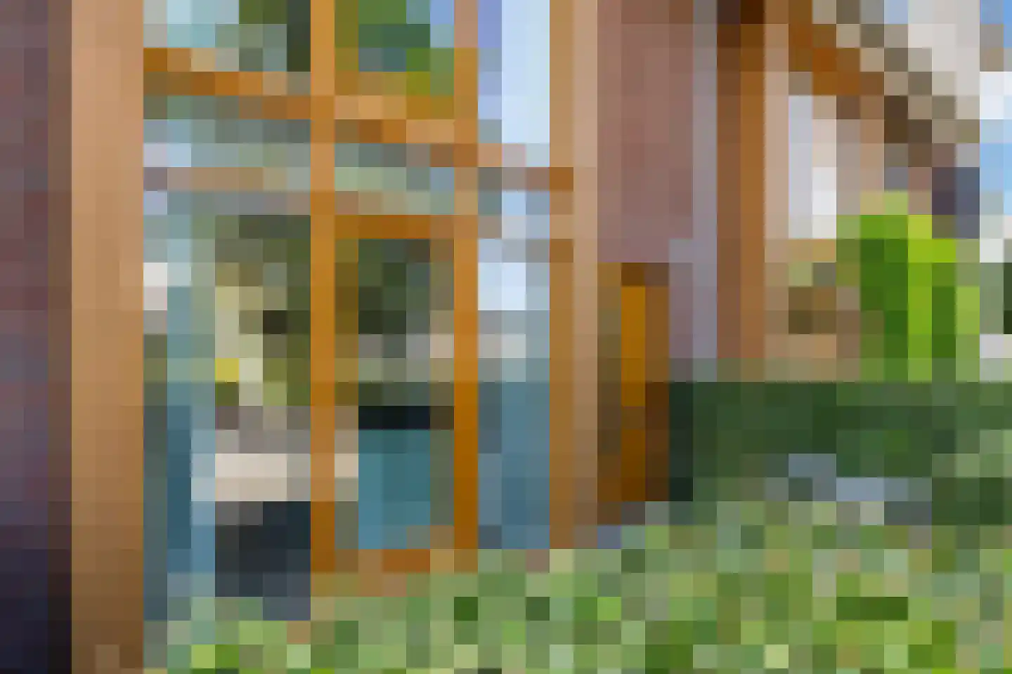 Knoopkruid 6 Voorthuizen thumbnail 8