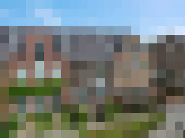 Knoopkruid 7 dans Voorthuizen