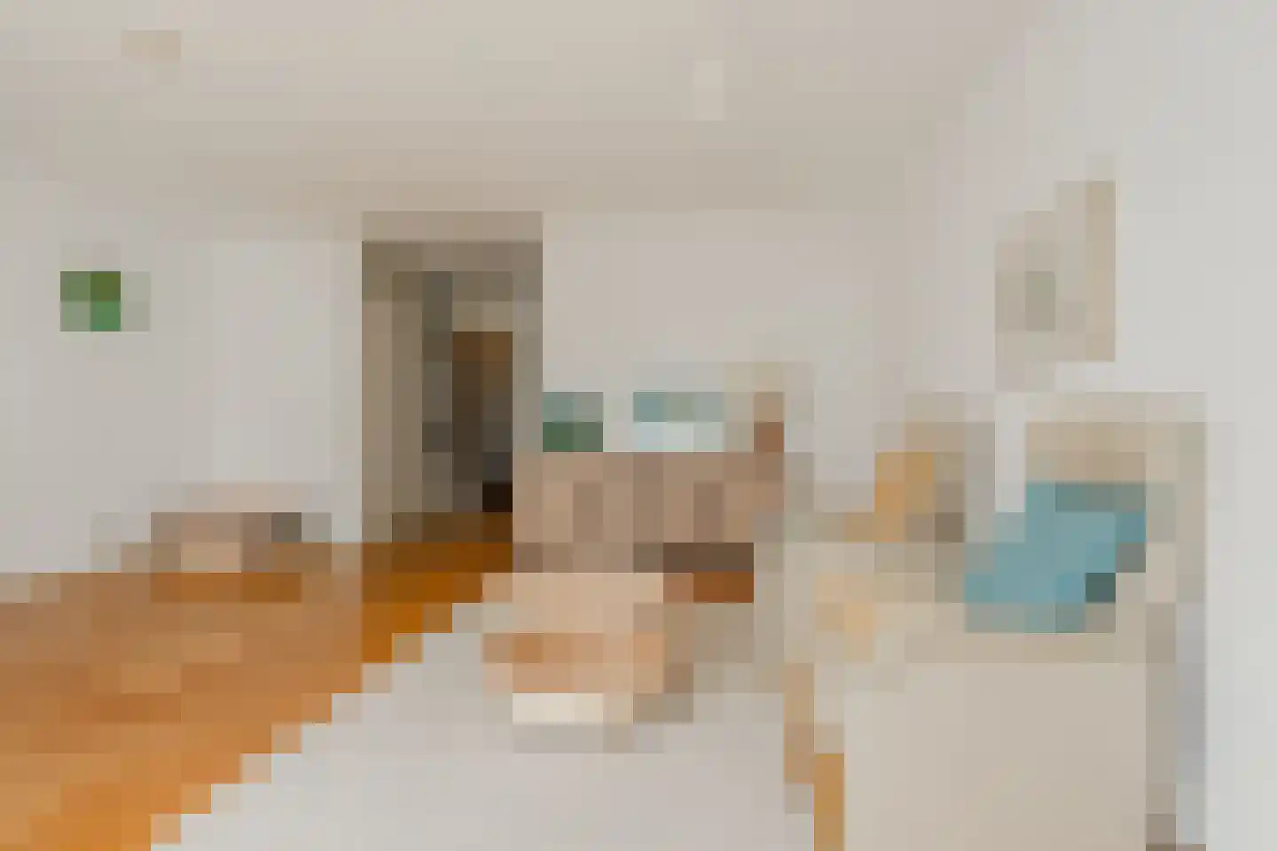 Knoopkruid 78 Diemen thumbnail 10