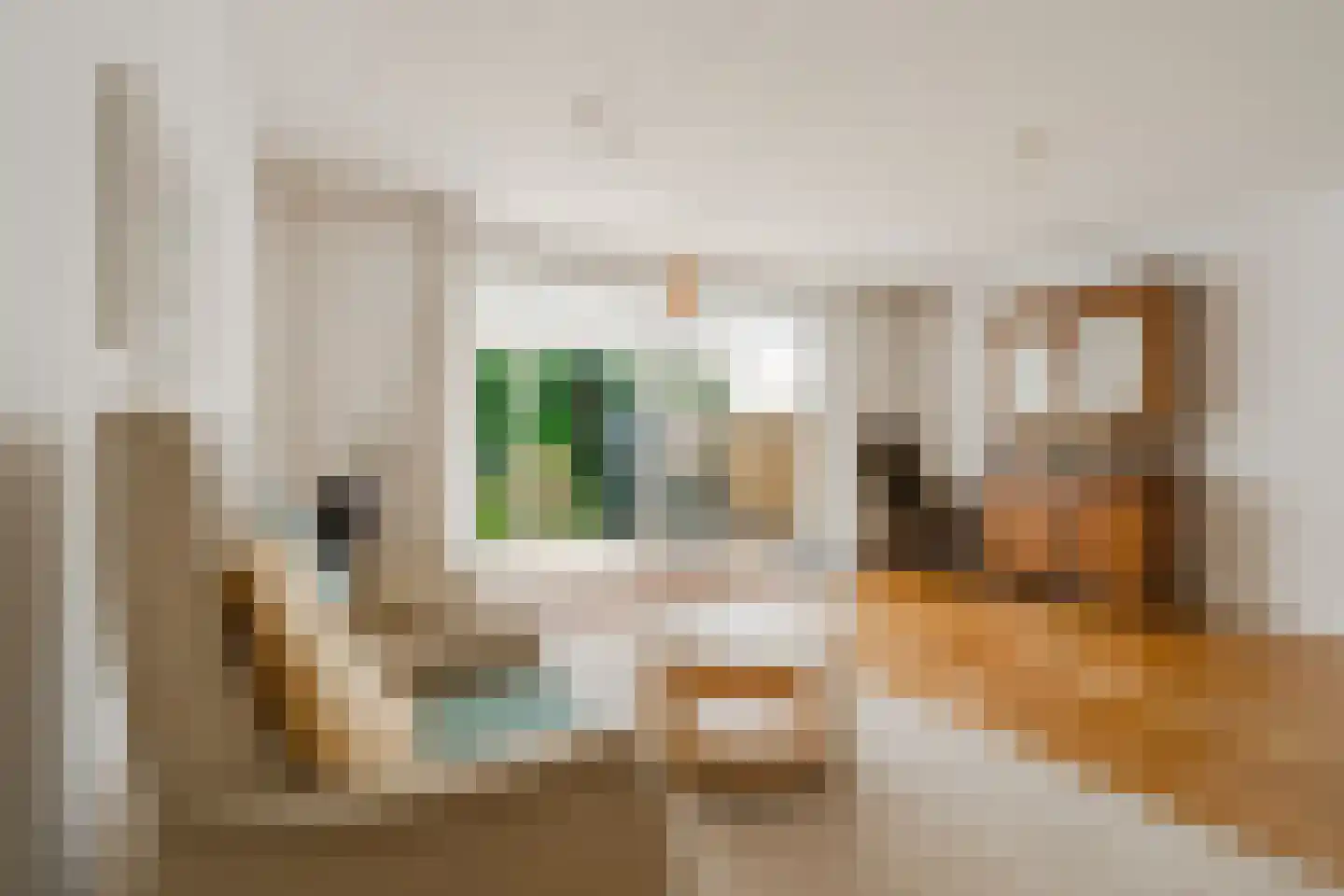Knoopkruid 78 Diemen thumbnail 11