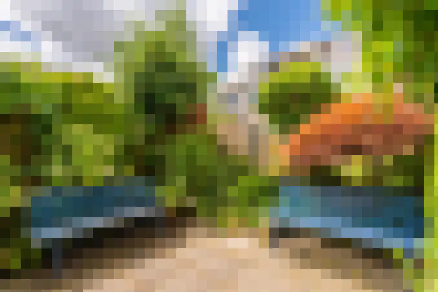 Knoopkruid 78 Diemen thumbnail 25