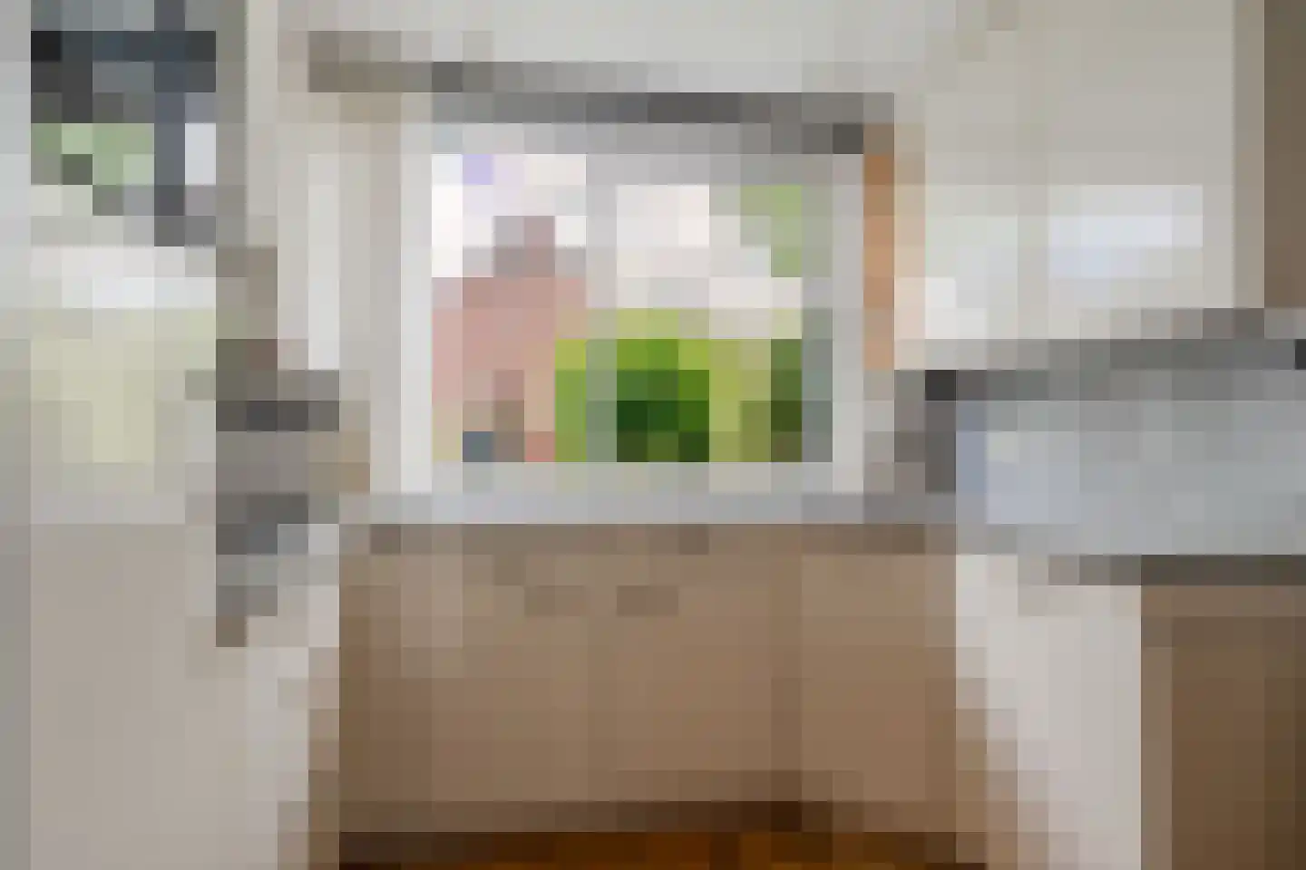 Knoopkruid 78 Diemen thumbnail 31